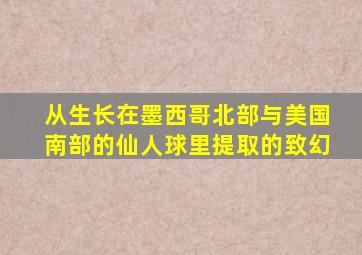 从生长在墨西哥北部与美国南部的仙人球里提取的致幻