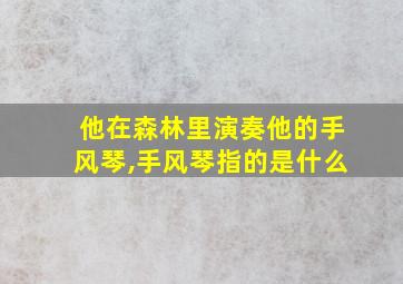 他在森林里演奏他的手风琴,手风琴指的是什么