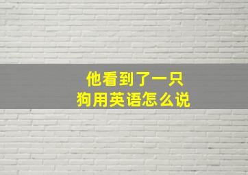 他看到了一只狗用英语怎么说