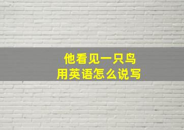 他看见一只鸟用英语怎么说写