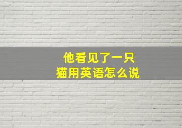 他看见了一只猫用英语怎么说