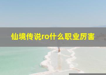 仙境传说ro什么职业厉害