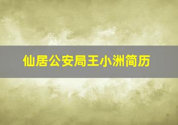 仙居公安局王小洲简历