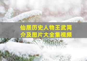 仙居历史人物王武简介及图片大全集视频