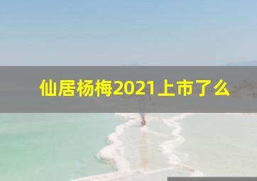 仙居杨梅2021上市了么