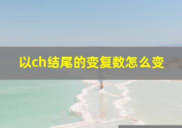 以ch结尾的变复数怎么变