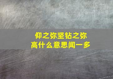 仰之弥坚钻之弥高什么意思闻一多