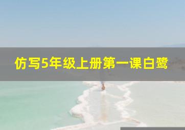 仿写5年级上册第一课白鹭