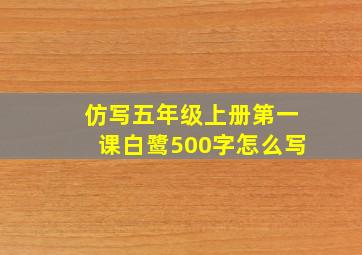 仿写五年级上册第一课白鹭500字怎么写