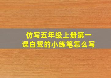 仿写五年级上册第一课白鹭的小练笔怎么写