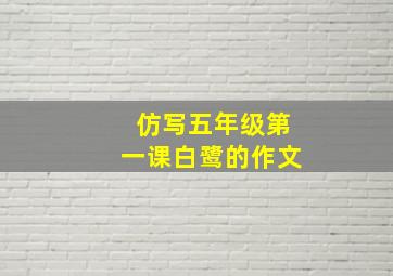 仿写五年级第一课白鹭的作文