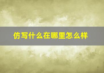 仿写什么在哪里怎么样