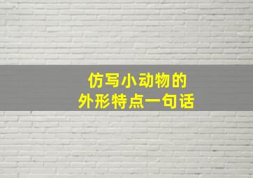 仿写小动物的外形特点一句话