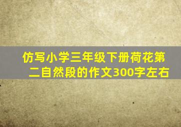 仿写小学三年级下册荷花第二自然段的作文300字左右