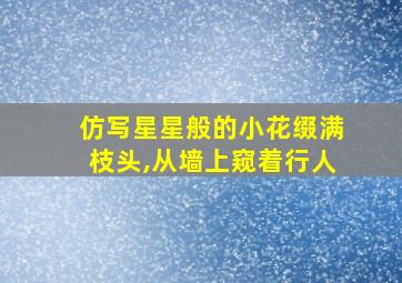 仿写星星般的小花缀满枝头,从墙上窥着行人