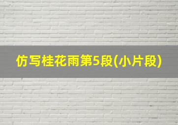 仿写桂花雨第5段(小片段)