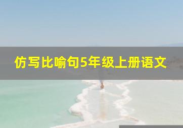 仿写比喻句5年级上册语文