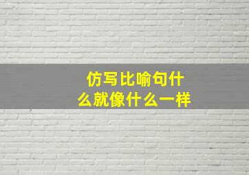 仿写比喻句什么就像什么一样