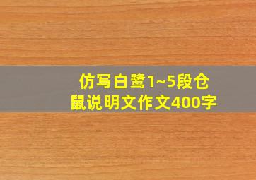 仿写白鹭1~5段仓鼠说明文作文400字