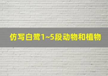 仿写白鹭1~5段动物和植物