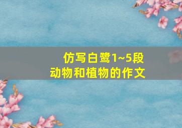 仿写白鹭1~5段动物和植物的作文