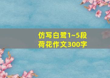 仿写白鹭1~5段荷花作文300字