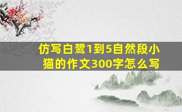 仿写白鹭1到5自然段小猫的作文300字怎么写