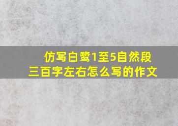 仿写白鹭1至5自然段三百字左右怎么写的作文