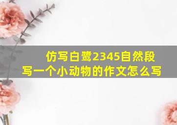 仿写白鹭2345自然段写一个小动物的作文怎么写