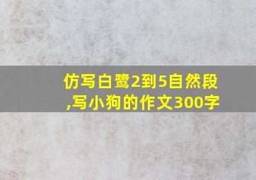 仿写白鹭2到5自然段,写小狗的作文300字