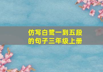 仿写白鹭一到五段的句子三年级上册