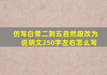 仿写白鹭二到五自然段改为说明文250字左右怎么写