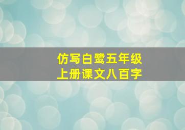 仿写白鹭五年级上册课文八百字