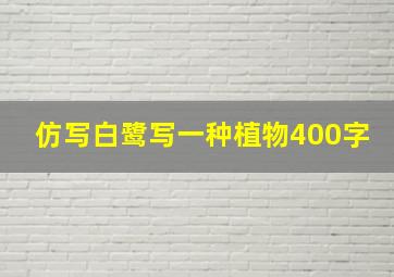 仿写白鹭写一种植物400字