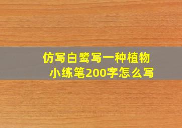 仿写白鹭写一种植物小练笔200字怎么写