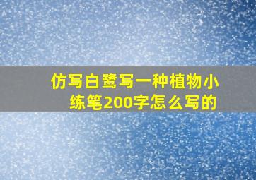 仿写白鹭写一种植物小练笔200字怎么写的