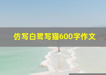 仿写白鹭写猫600字作文