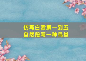 仿写白鹭第一到五自然段写一种鸟类