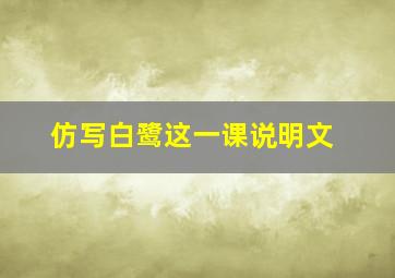 仿写白鹭这一课说明文