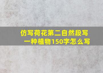 仿写荷花第二自然段写一种植物150字怎么写