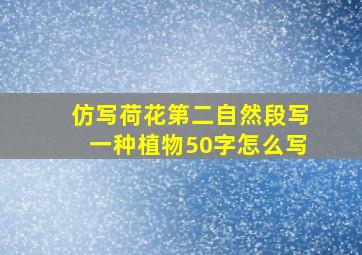 仿写荷花第二自然段写一种植物50字怎么写