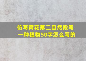 仿写荷花第二自然段写一种植物50字怎么写的