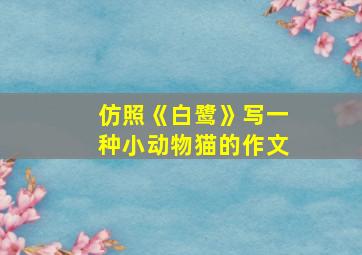 仿照《白鹭》写一种小动物猫的作文