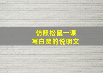 仿照松鼠一课写白鹭的说明文