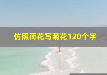 仿照荷花写菊花120个字