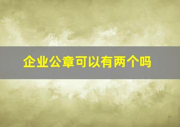 企业公章可以有两个吗