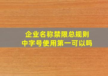 企业名称禁限总规则中字号使用第一可以吗