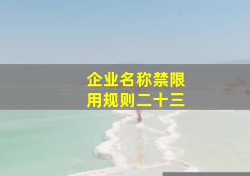 企业名称禁限用规则二十三