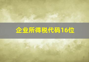 企业所得税代码16位