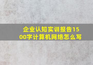 企业认知实训报告1500字计算机网络怎么写